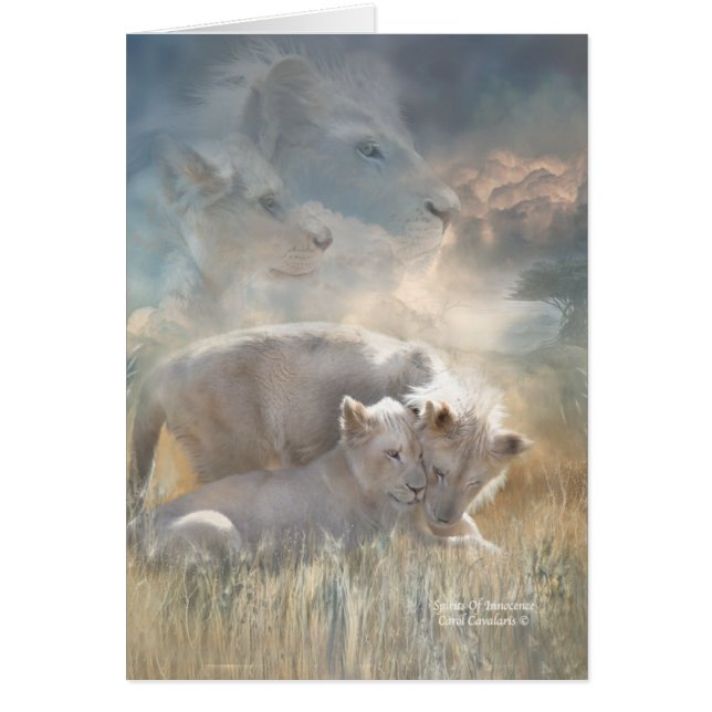 潔白ArtCardの精神 (正面)