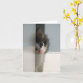 潔白Notecard カード (黄色い花)