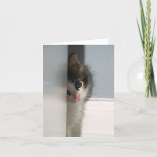 潔白Notecard カード