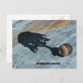 「潜在的」はがき ポストカード (正面/裏面)