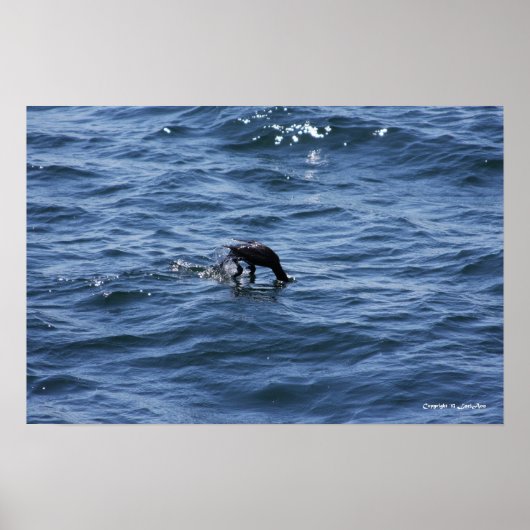 潜水 ポスター (正面)