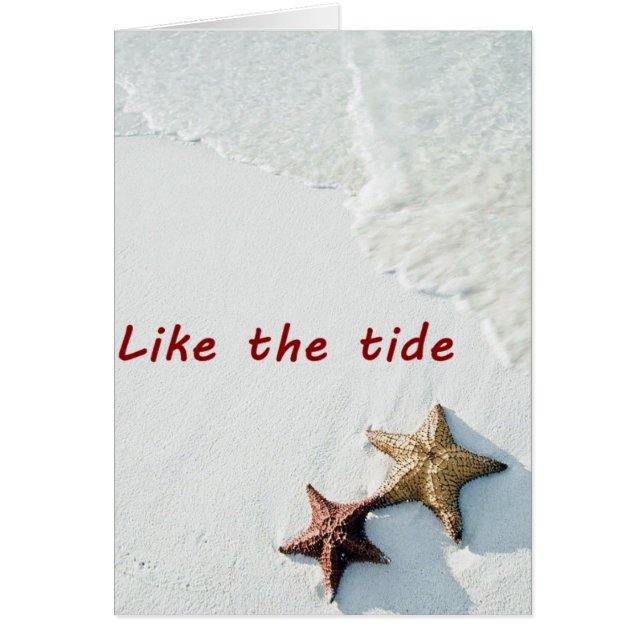 潮が満ちていストップると「40」が良い (正面)