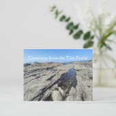 潮のプールからの挨拶！ ポストカード (スタンド正面)