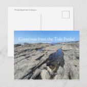 潮のプールからの挨拶！ ポストカード (正面/裏面)