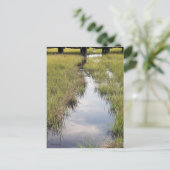 潮の小川 ポストカード (スタンド正面)