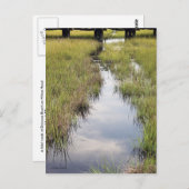 潮の小川 ポストカード (正面/裏面)