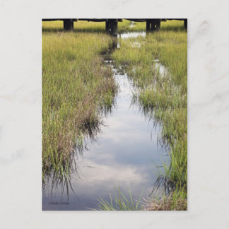 潮の小川 ポストカード