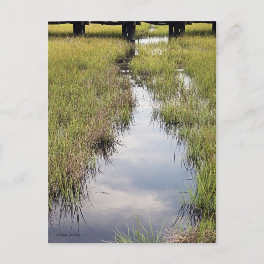 潮の小川 ポストカード (正面)