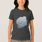 潮の灰 トライブレンドＴシャツ (正面)