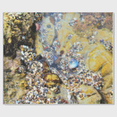 潮プールの包装紙 ラッピングペーパー (フラット)