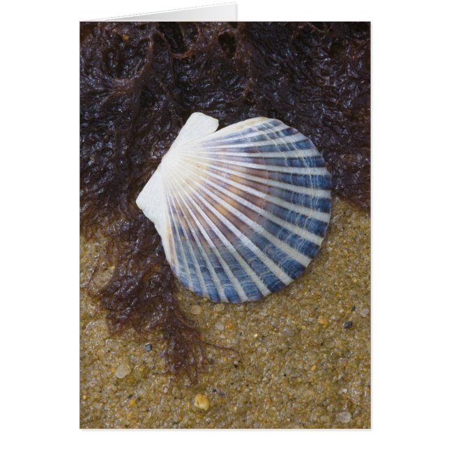 潮プール (正面)