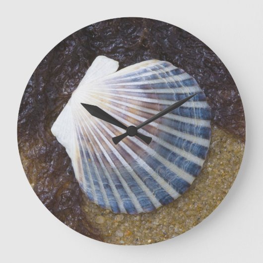 潮プール ラージ壁時計 (正面)