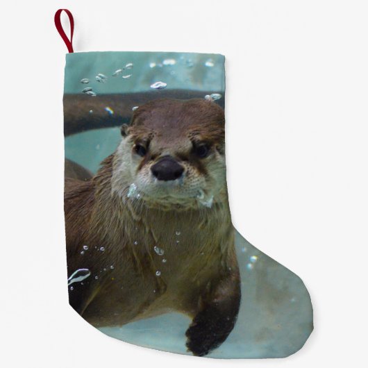 澄んで青いプールのかわいいブラウンのカワウソの水泳 スモールクリスマスストッキング (正面)