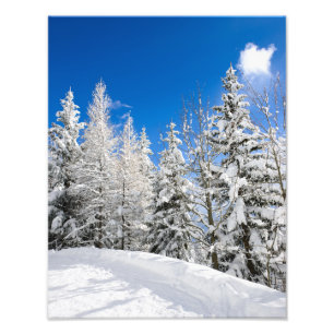 澄んな青空の写真の下の雪の木は印刷します フォトプリント