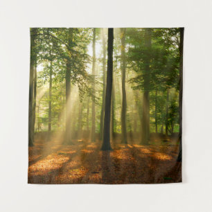 ~澄んの輝く森の光 タペストリー