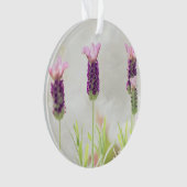 澄んオーナメントテンプレート オーナメント (正面)