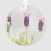 澄んオーナメントテンプレート オーナメント (裏面)