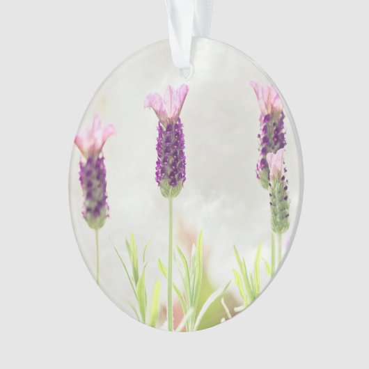 澄んオーナメントテンプレート オーナメント (正面)