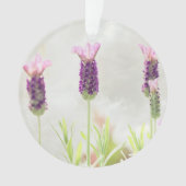 澄んオーナメントテンプレート オーナメント (正面)