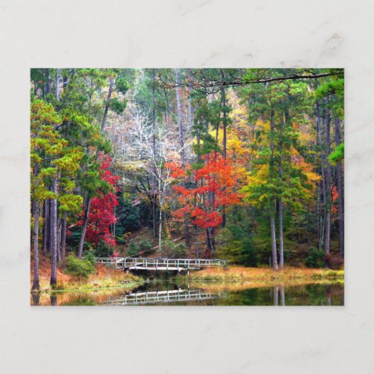 澄ん春 – ホモチト国立森林 ポストカード (正面)
