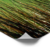 澄ん湖 ポスター (角)