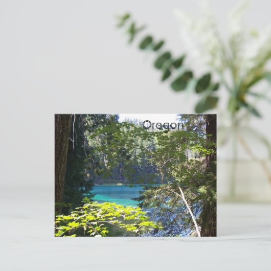 澄ん湖 ポストカード (スタンド正面)