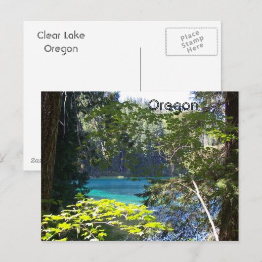 澄ん湖 ポストカード (正面/裏面)