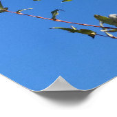 澄ん空 ポスター (角)