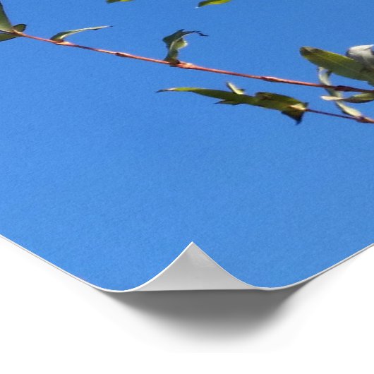 澄ん空 ポスター (角)