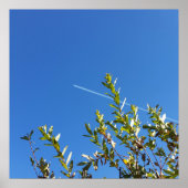 澄ん空 ポスター (正面)