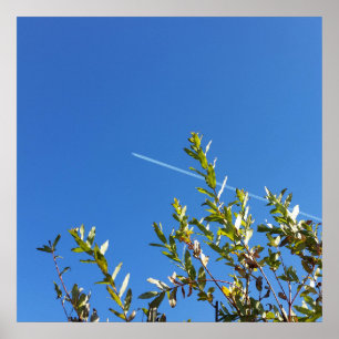 澄ん空 ポスター