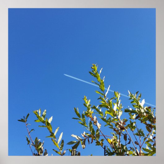 澄ん空 ポスター (正面)