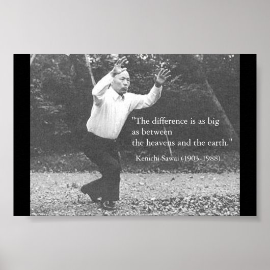 澤井健一 ポスター (正面)