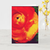 激しいオレンジRanunculusのブランクの挨拶状 カード (黄色い花)