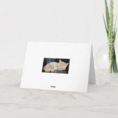 激しいカードオレンジジンジャータイガーかわいい カード (裏面)