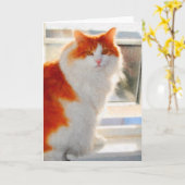 激しいノルウェーの森林猫のメッセージカード カード (黄色い花)