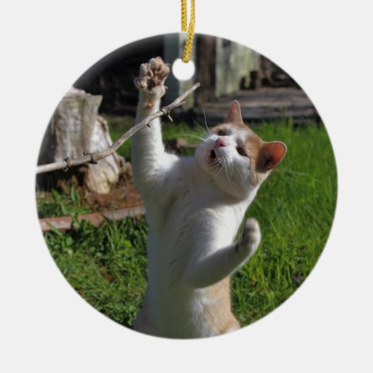 激しい捕食者 セラミックオーナメント (正面)