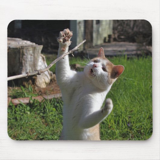 激しい捕食者 マウスパッド (正面)