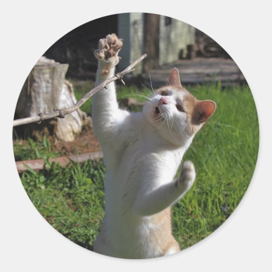 激しい捕食者 ラウンドシール (正面)