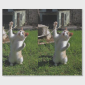 激しい捕食者 ラッピングペーパー (フラット)