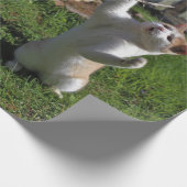 激しい捕食者 ラッピングペーパー (角)