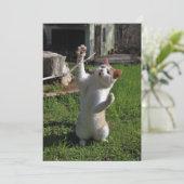 激しい捕食者 招待状 (スタンド正面)