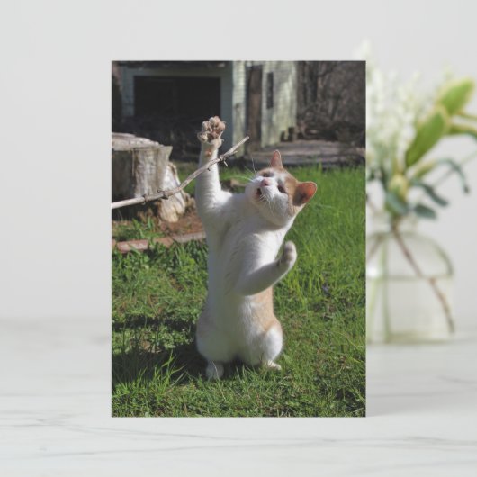 激しい捕食者 招待状 (スタンド正面)