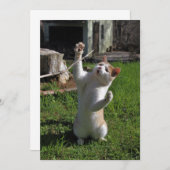 激しい捕食者 招待状 (正面/裏面)