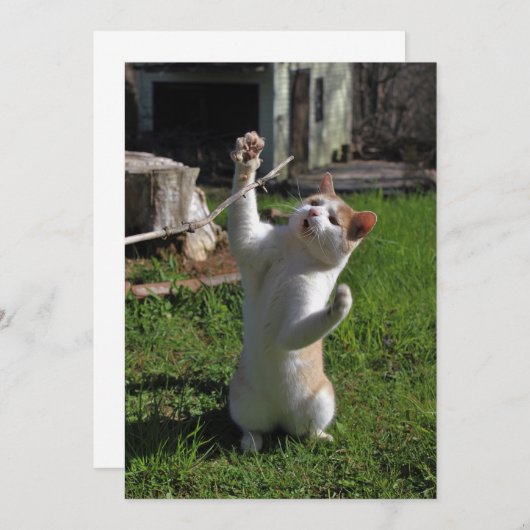 激しい捕食者 招待状 (正面/裏面)