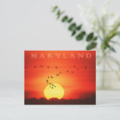 激しい日の出に対するカナダのゲーゼのシルエット ポストカード (スタンド正面)