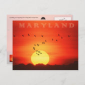 激しい日の出に対するカナダのゲーゼのシルエット ポストカード (正面/裏面)