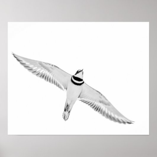 激しい殺人鬼 ポスター (正面)