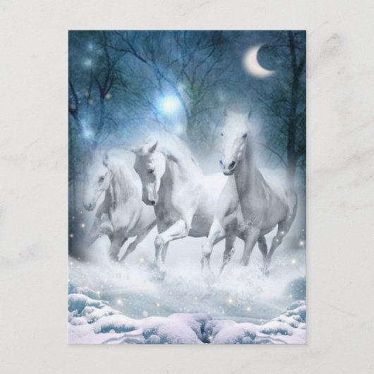 激しい混乱 ポストカード (正面)