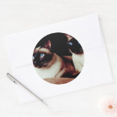 激しい猫 ラウンドシール (封筒)